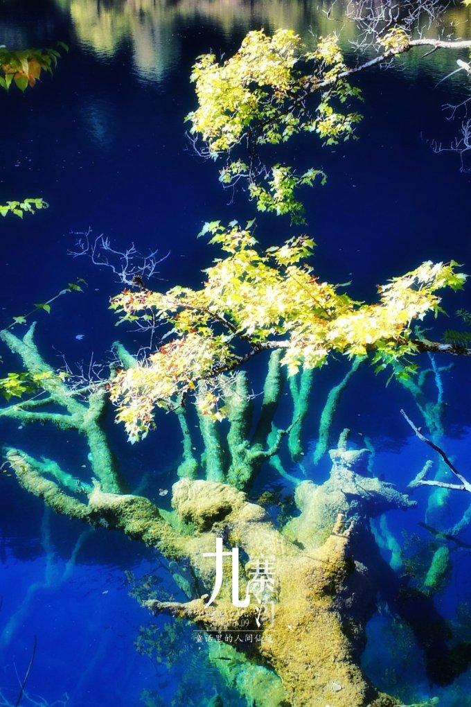 模拟挖掘机