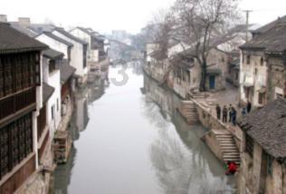 恐龙绝地逃生